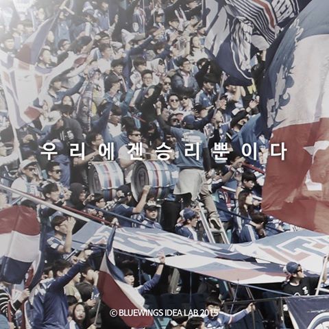 수원을 사랑하는 이들이여 | 인스티즈