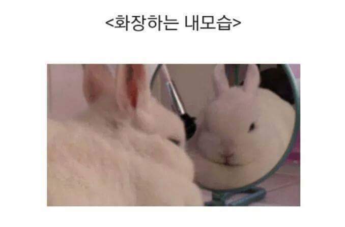 여자들이라면 극공감 ㅋㅋㅋ 남자들이보면 그냥웃김 | 인스티즈