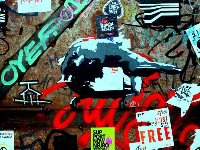 페북에서 주운 Urban street arts 30 pics | 인스티즈