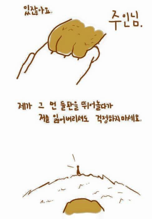 개가 늙어죽을 때 어떻게 죽는지 아니? | 인스티즈