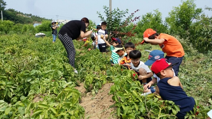 동심예능유치원 이미지