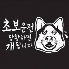 운전스티커 | 인스티즈