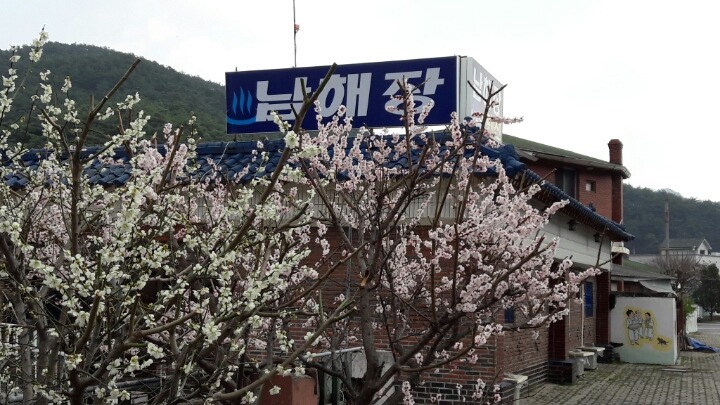 남해장 이미지