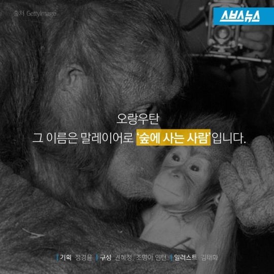 숲속에 사는 사람들 | 인스티즈