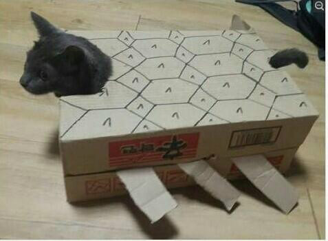 조선시대 장애인에 대한 대우 | 인스티즈