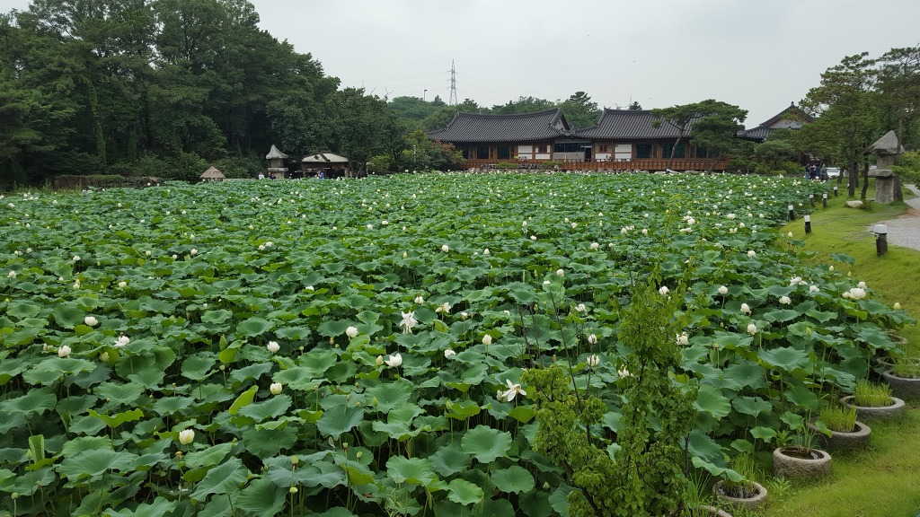 마당식당 이미지