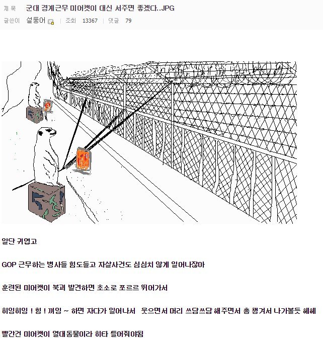 군대 경계근무 미어캣이 대신 서주면 좋겠다.JPG | 인스티즈