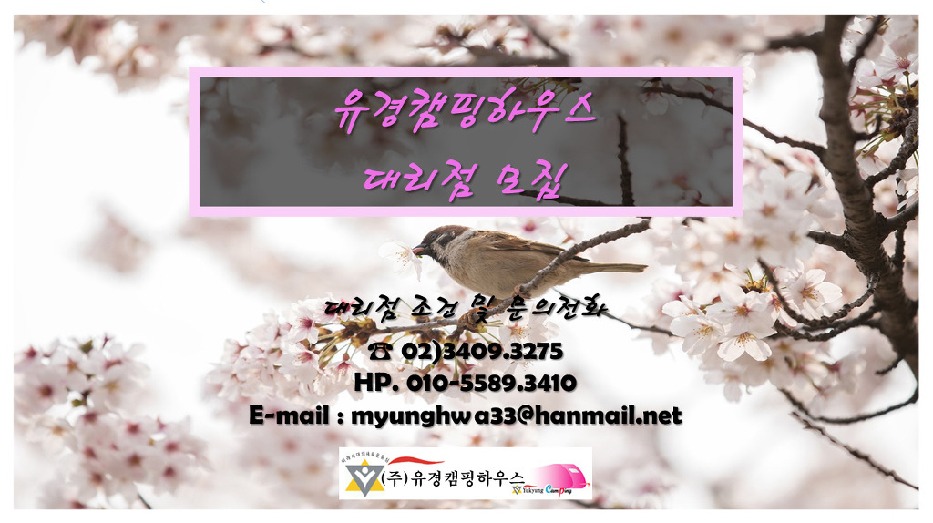 유경캠핑하우스 이미지