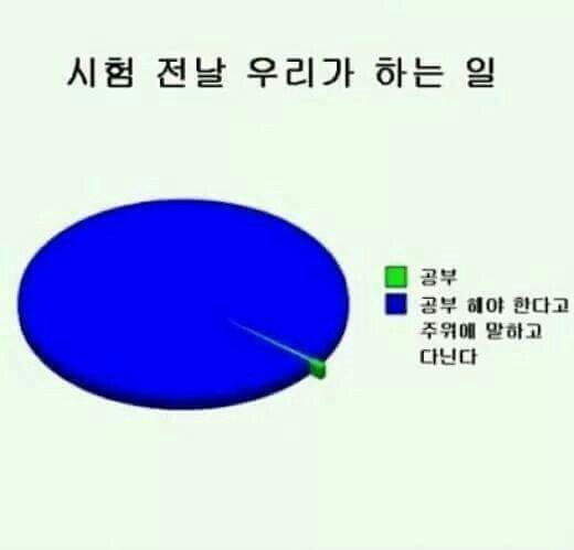 쭈 이미지