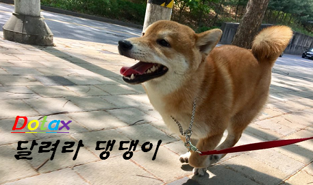 스압) 대마초에 관한 왜곡된 진실 | 인스티즈