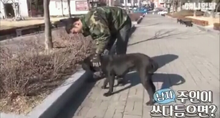 여자보면 쓰러지는 개 이야기 | 인스티즈