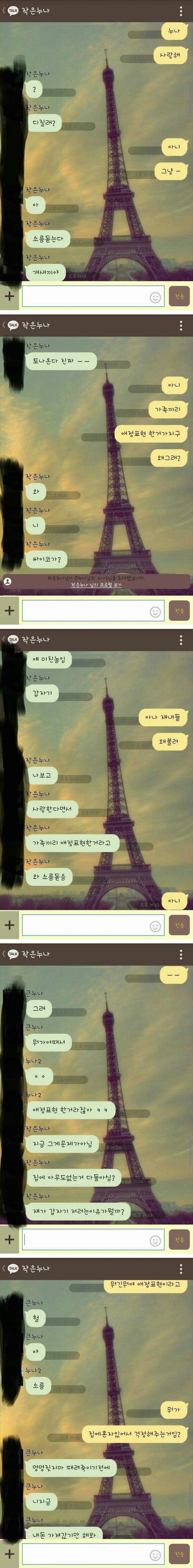 누나에게 사랑해라고 말해보았다.jpg | 인스티즈