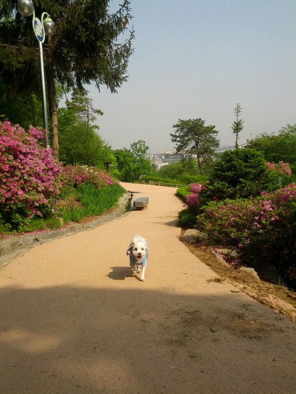 하늘스튜디오 이미지