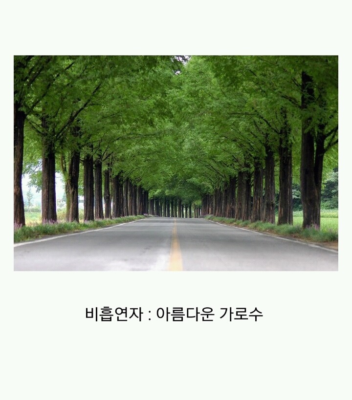 꽁초충 길빵충 가래충이 시룸인 이유 (feat.푸념주의) | 인스티즈