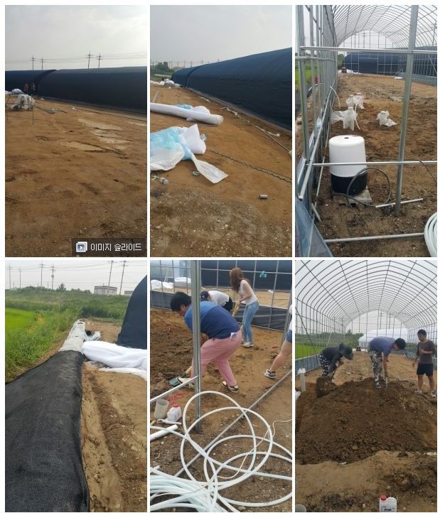 안락사 없는 내사랑바둑이 보호소가 공사비 모금중입니다! 공사비가 부족해서 고양이들이 살 묘사와 주방위생시설을 아직 짓지 못했어요ㅠㅠ(봉사,물품후원가능) | 인스티즈