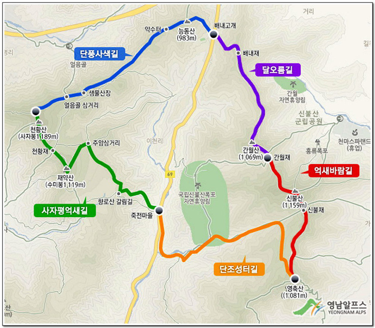 이박하 이미지