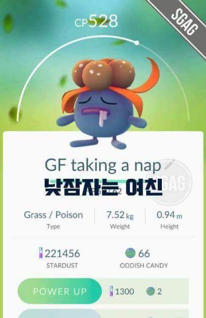 포켓몬고 작명센스 | 인스티즈