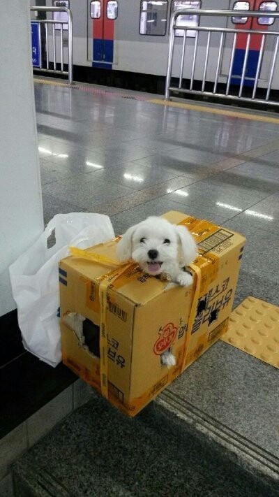 헐 이미지