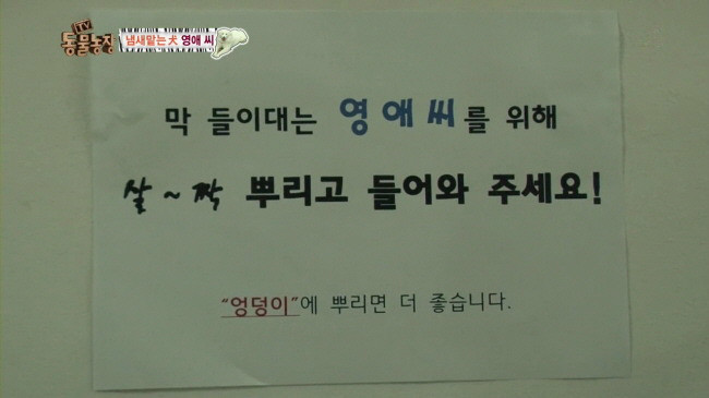 막들이대는 영애씨 | 인스티즈