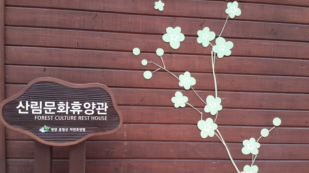 흥림산자연휴양림 이미지
