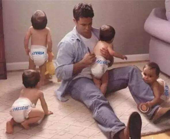 레몬트리 이미지