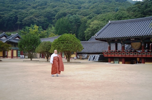 황돈 이미지
