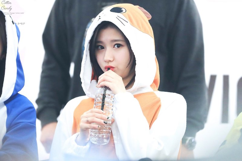 트와이스 사나 | 인스티즈