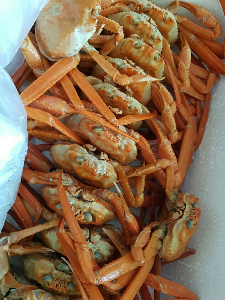 홍게찜 이미지
