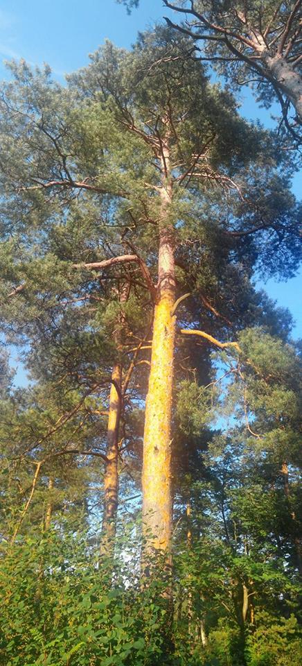 277406495783995E277E07