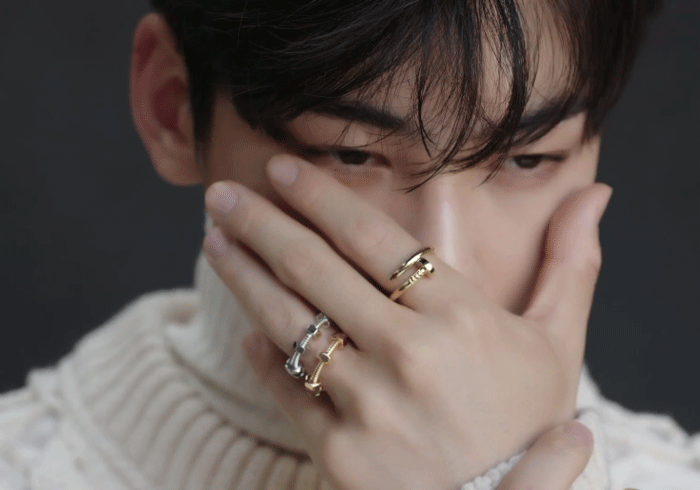 차은우 까르띠에 화보 움짤.gif | 인스티즈