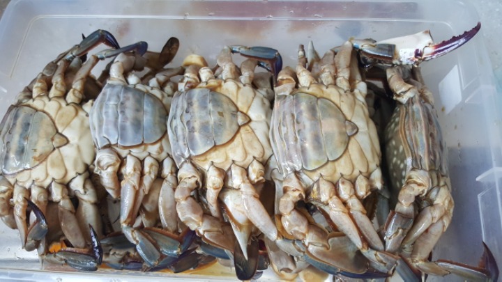 유진수산 이미지