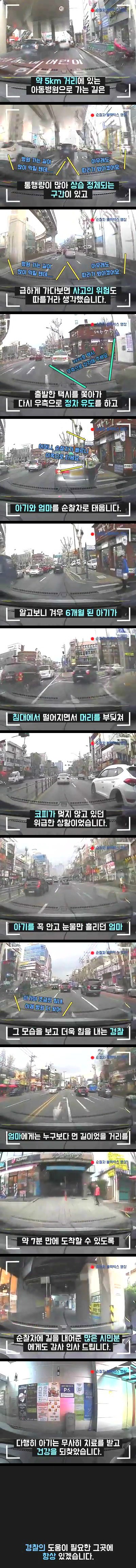 신호위반 하는 택시를 붙잡은 경찰 | 인스티즈