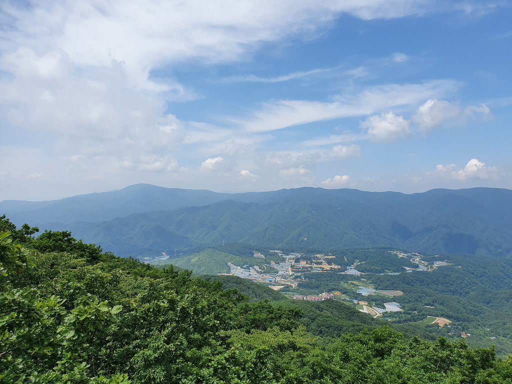정상 정자 이미지