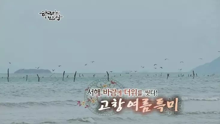 한국인의 밥상 - 고창의 여름 | 인스티즈