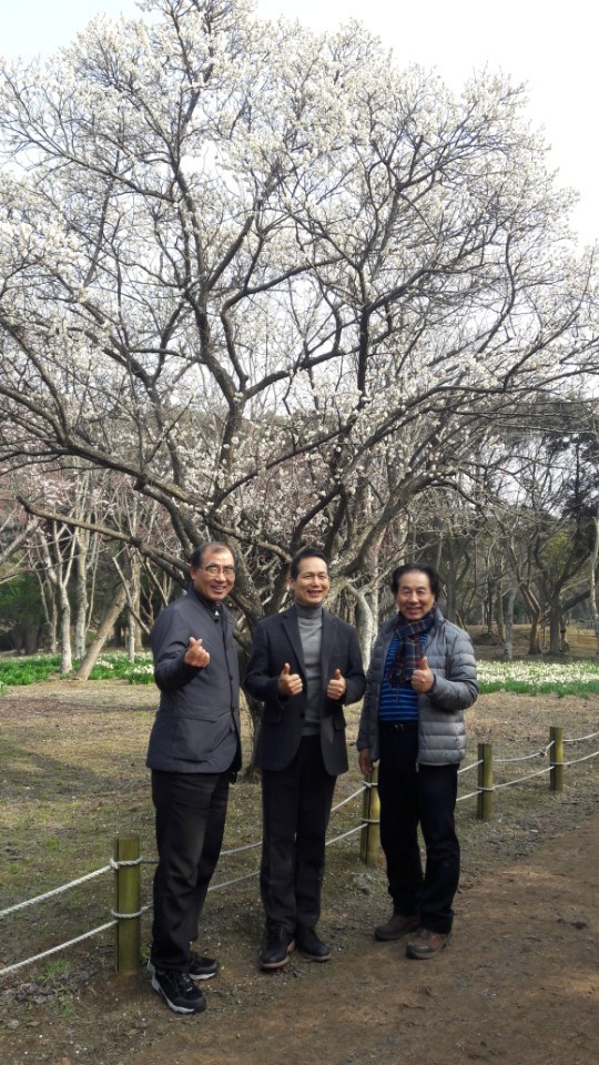 제주남도 이미지