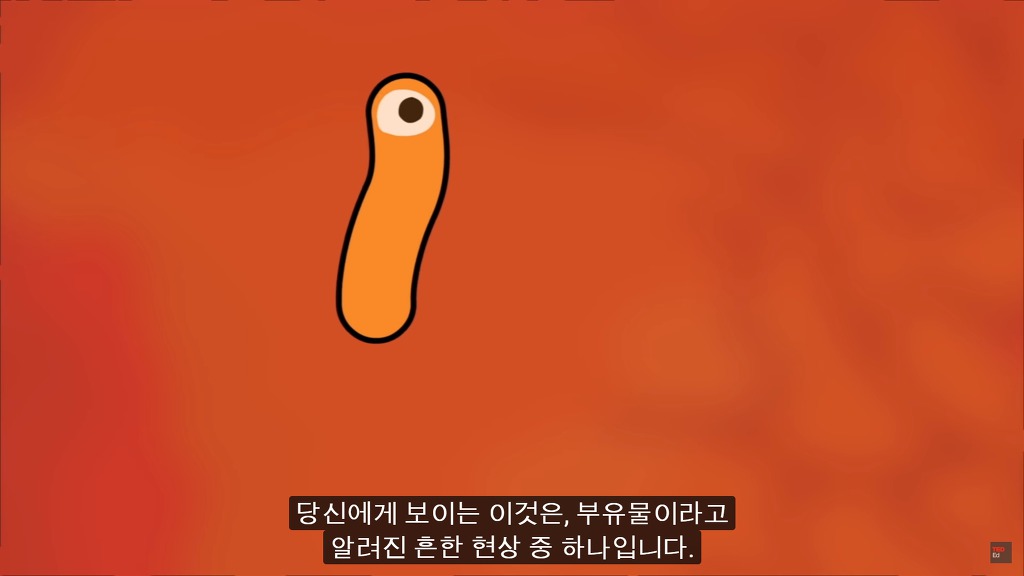 여러분의 눈에 둥둥 떠다니는 그것들은 무엇일까요? | 인스티즈