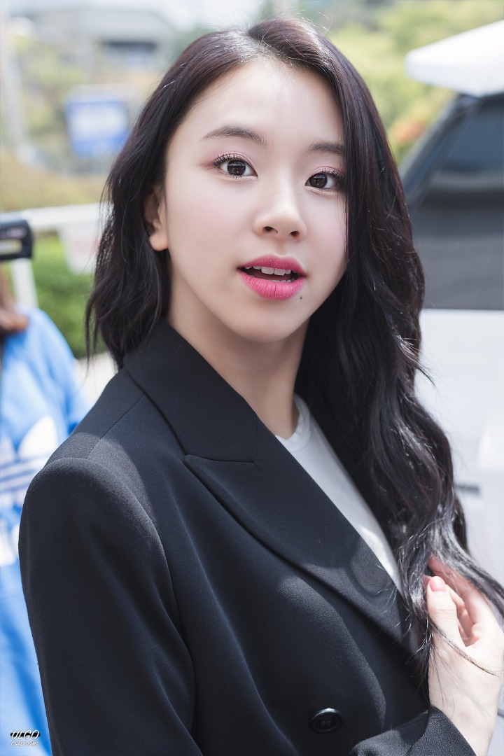 트와이스 손채영 | 인스티즈