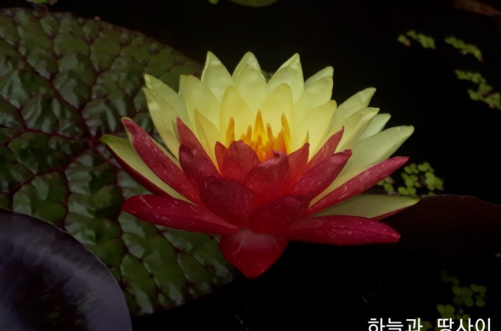 해와달 이미지