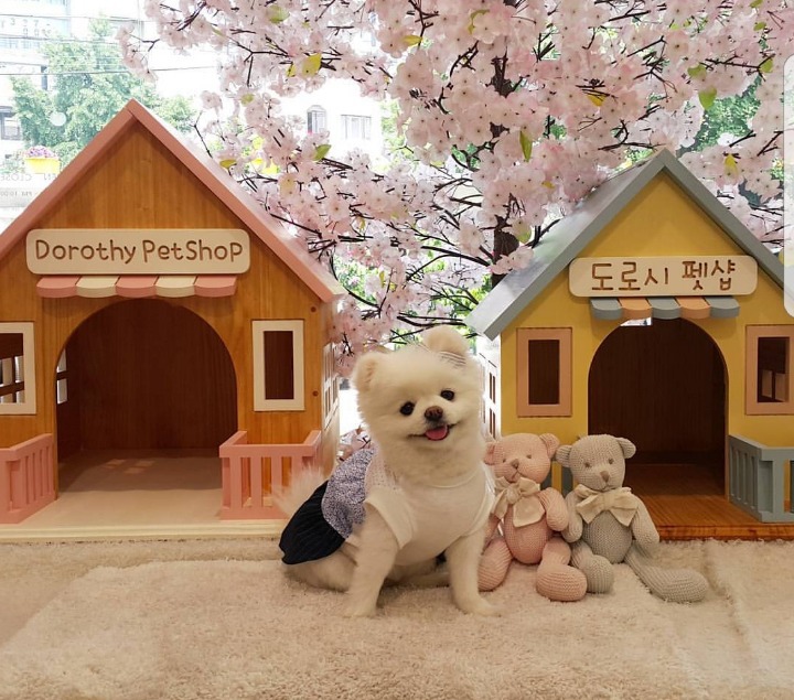 부동산 가격 뺀 3500만원 시공 집 | 인스티즈