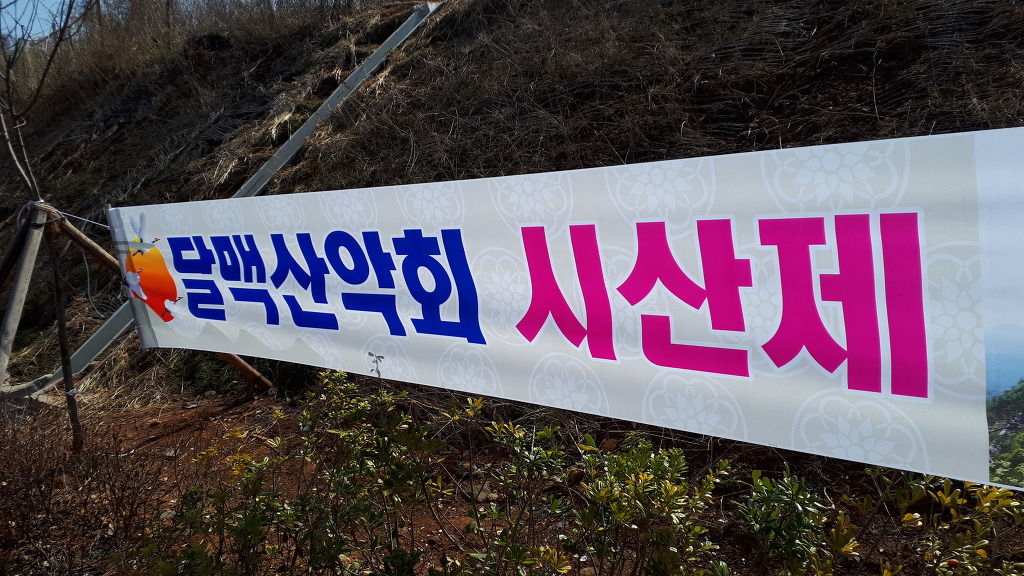 달맥 이미지