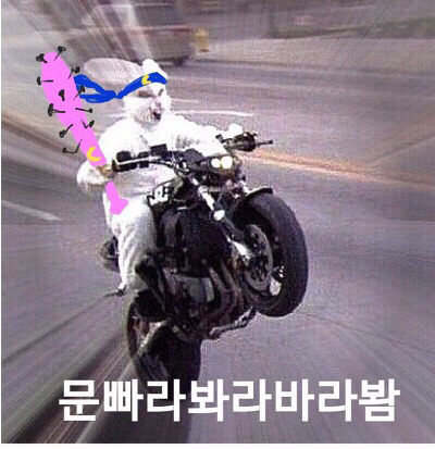 가 문빠 거리며 지지자들 공격하는 이유 | 인스티즈