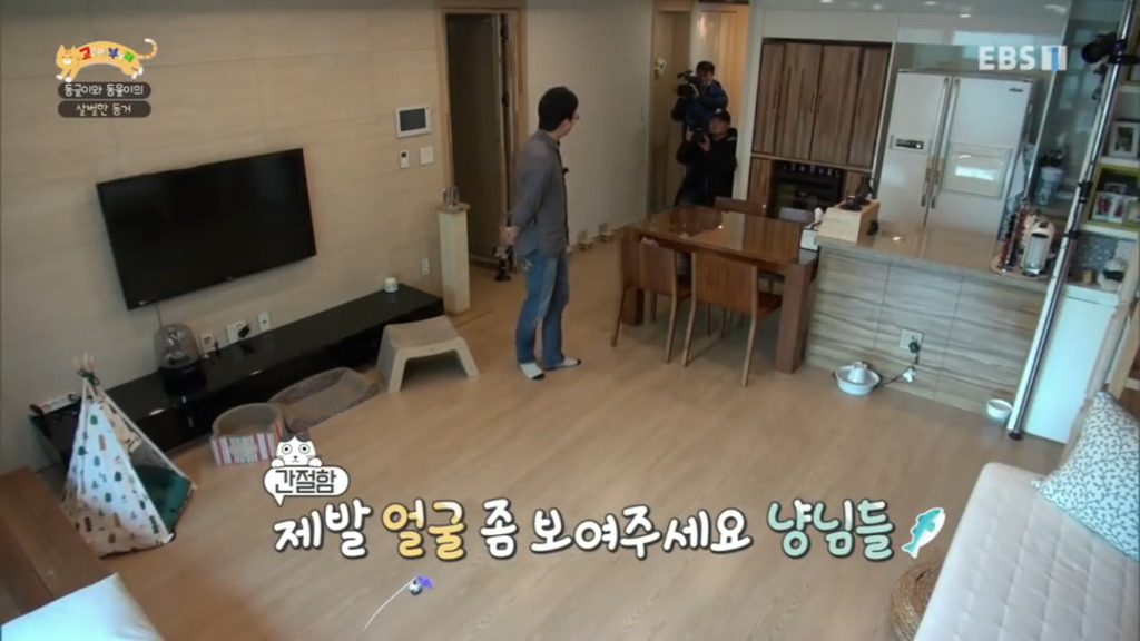 세상에 나쁜 개는 없다 vs 고양이를 부탁해 차이.jpg | 인스티즈