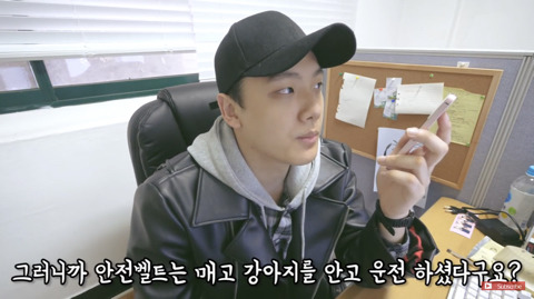 차에 탈때 강아지를 운전자가 안고 타거나 조수석에 아무런 장치 없이 태우면 도로교통법 위법 | 인스티즈
