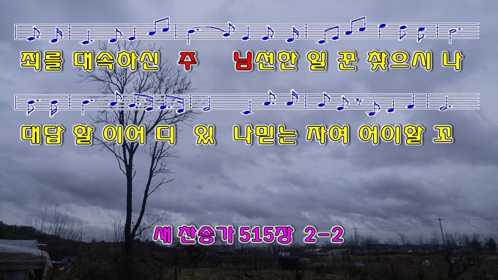 하늘보라 이미지
