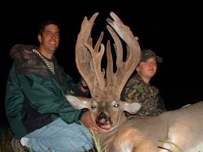 이쯤 되면 나무로 인정해줘야 할 것 같은 사슴뿔 모음 | 인스티즈