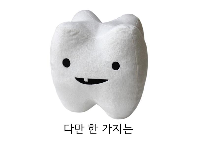 안녕하세오 치과의사에오 | 인스티즈