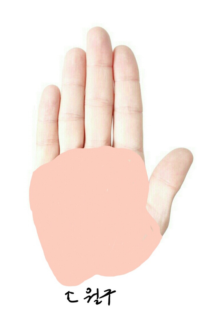 뼈대가 이미지