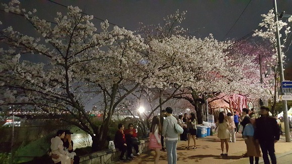 광장직업소개소 이미지