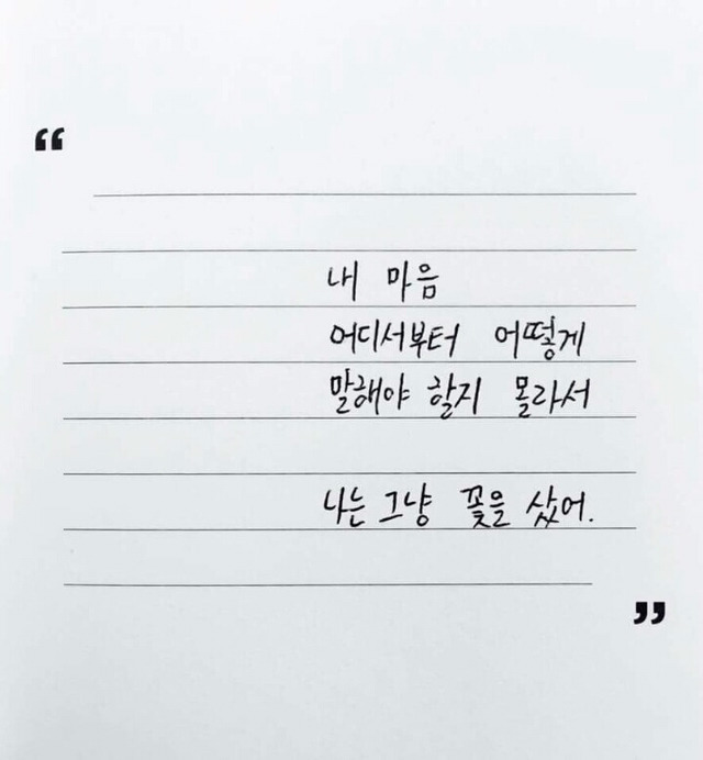 내 갤러리 속 30번의 고통 | 인스티즈