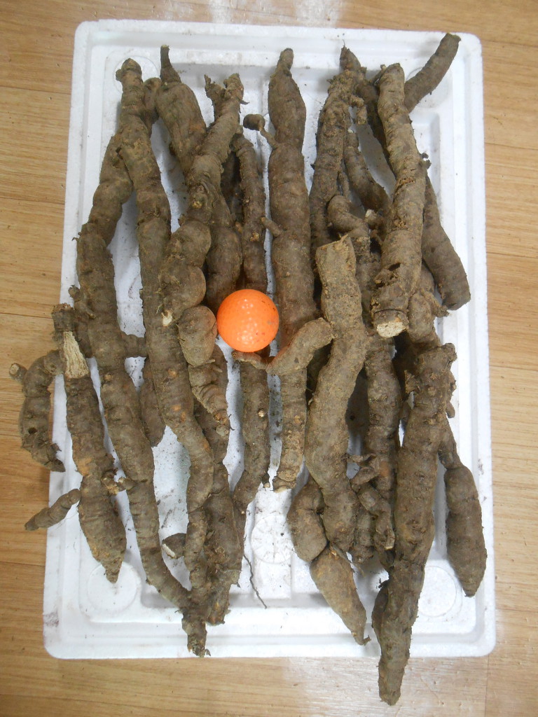 충남건재 이미지